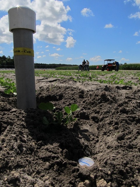 Sentek Peanut Install